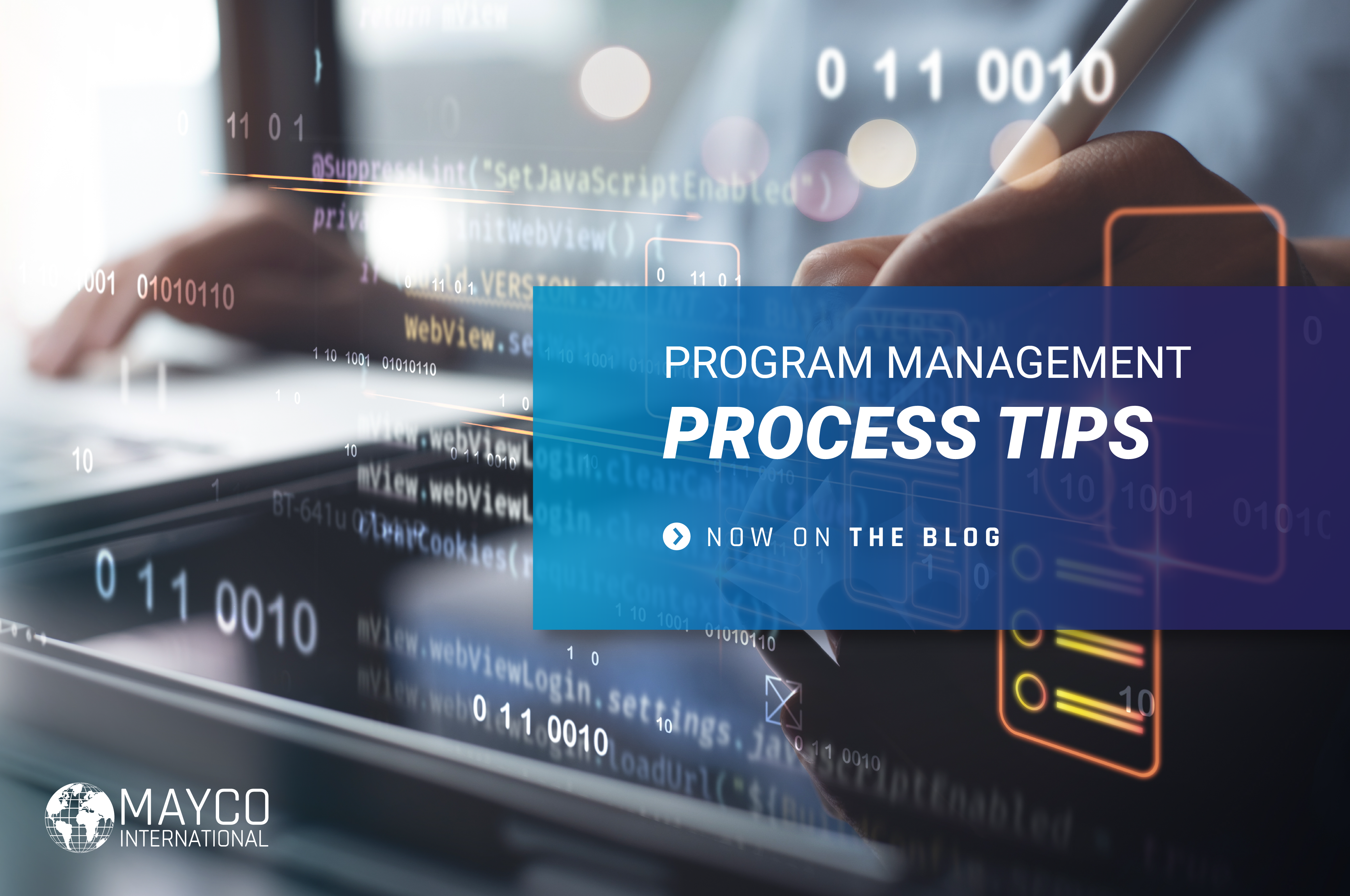 program management process